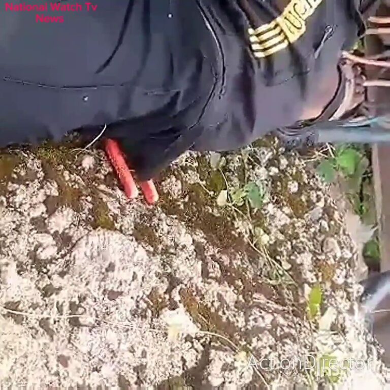 Electricity Cable Thief Electrocuted In Edo 